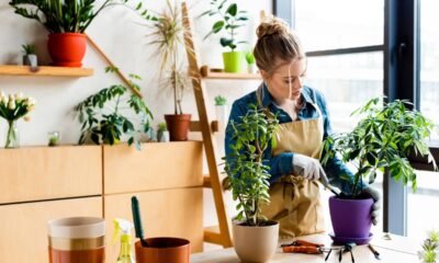 Como montar uma horta em casa mesmo sem ter espaço disponível