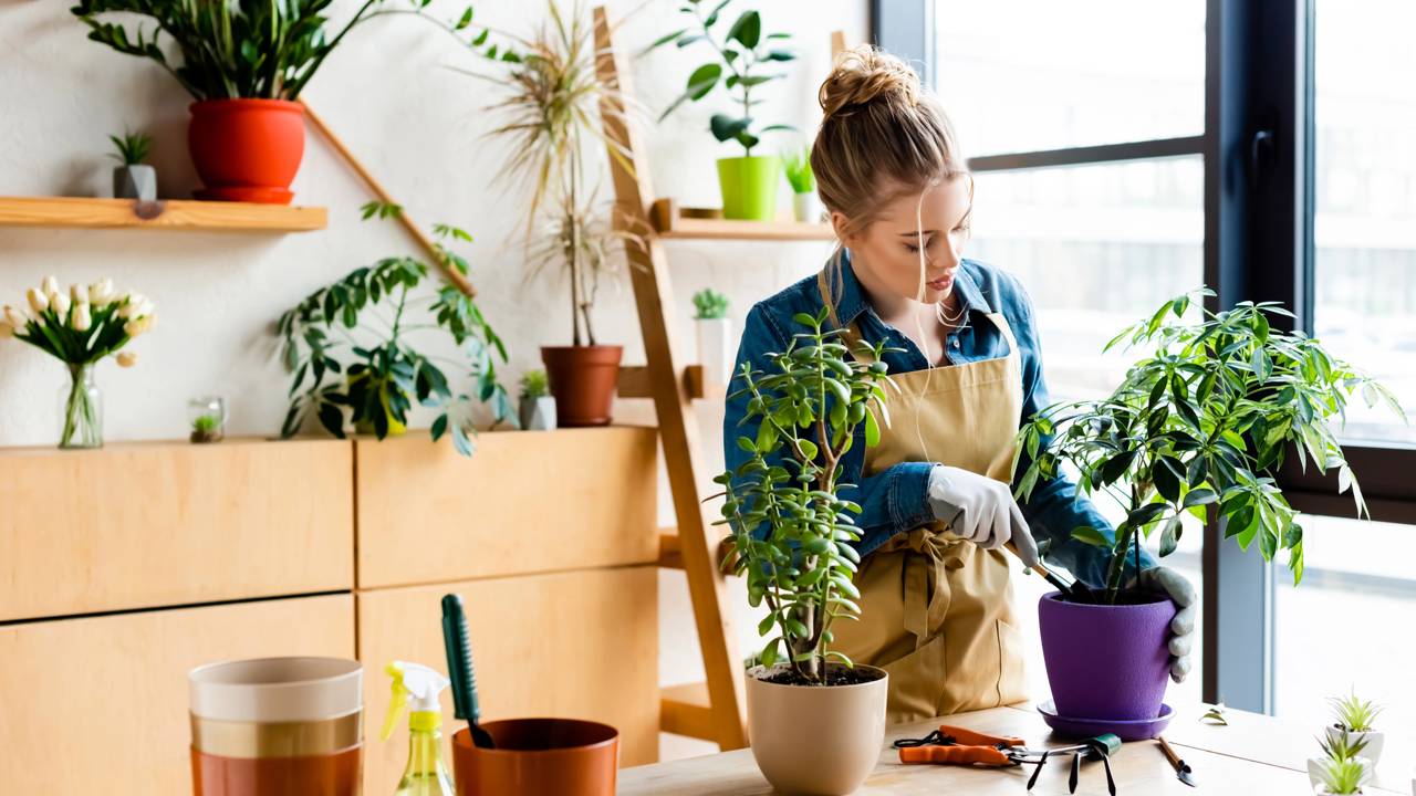 Como montar uma horta em casa mesmo sem ter espaço disponível