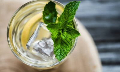 A busca por soluções naturais para cuidar da pele oleosa tem ganhado destaque, e a hortelã se apresenta como uma aliada versátil nesse cenário devido ao seu aroma refrescante e potenciais propriedades benéficas para o controle da oleosidade excessiva, um desafio comum associado a acne e brilho indesejado.