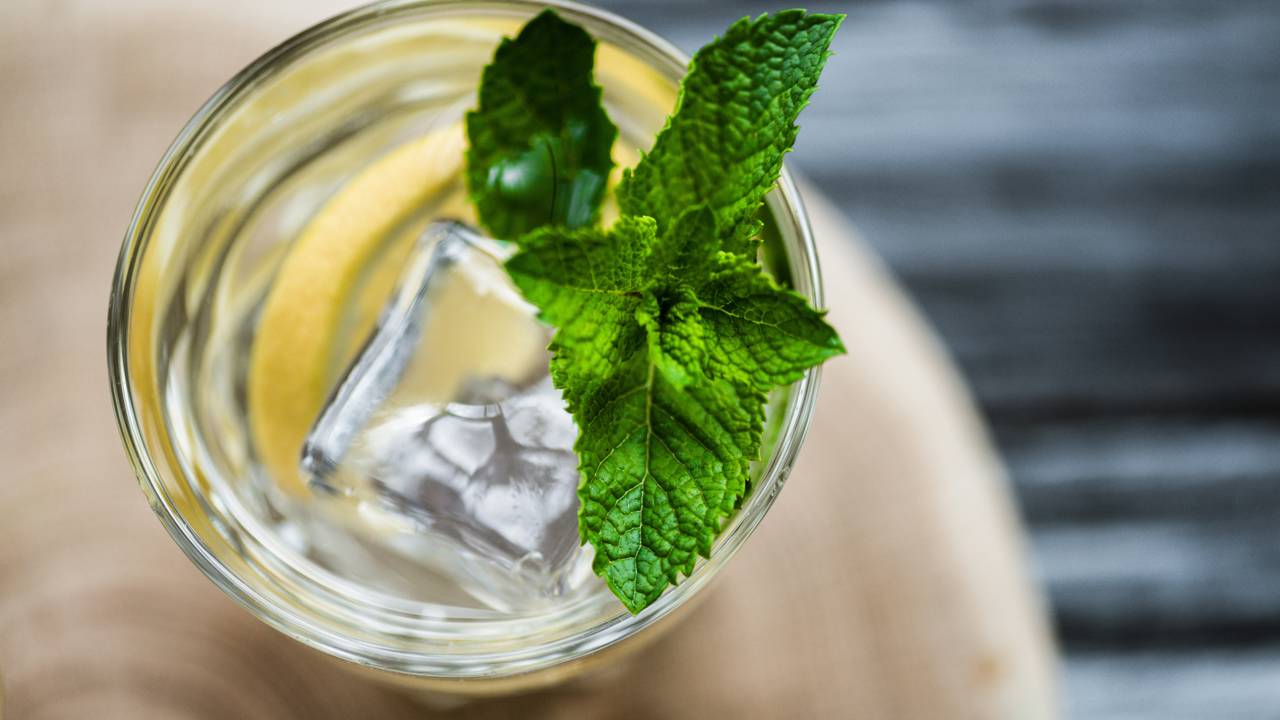 A busca por soluções naturais para cuidar da pele oleosa tem ganhado destaque, e a hortelã se apresenta como uma aliada versátil nesse cenário devido ao seu aroma refrescante e potenciais propriedades benéficas para o controle da oleosidade excessiva, um desafio comum associado a acne e brilho indesejado.