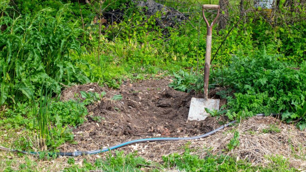 Seu jardim está atraindo cobras por esses motivos que você nem imagina