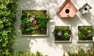 Veja como montar um jardim vertical sem pesar no bolso