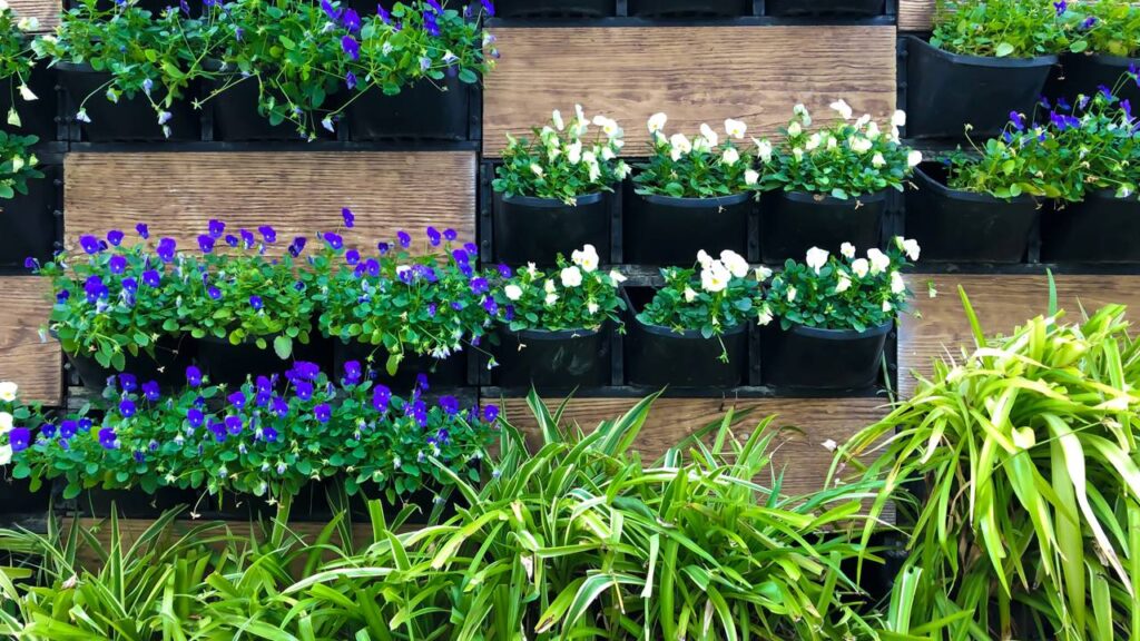 Veja como montar um jardim vertical sem pesar no bolso