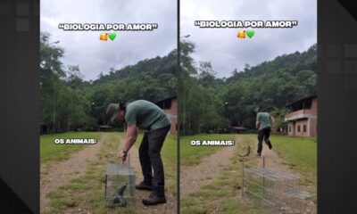 Vídeo de lagarto correndo atrás de biólogo e viraliza nas redes sociais