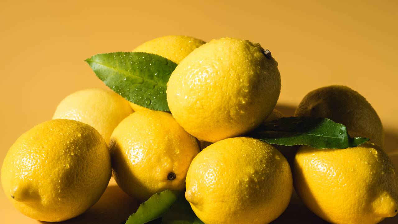 Plantar limão-siciliano pode transformar o jardim ao adicionar um toque cítrico e refrescante, além de proporcionar frutos com sabor ácido, casca brilhante e aplicações culinárias variadas. Com os cuidados certos no plantio e na manutenção, você consegue produzir limões-sicilianos saudáveis e em boa quantidade.