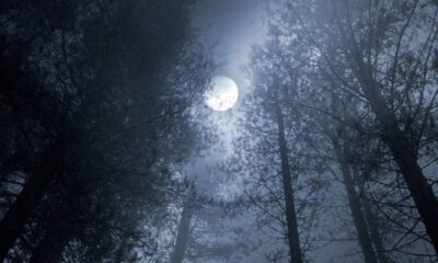 A lua cheia sempre mexe com as energias ao nosso redor, mas desta vez, ela traz um impacto mais profundo em quatro signos do zodíaco