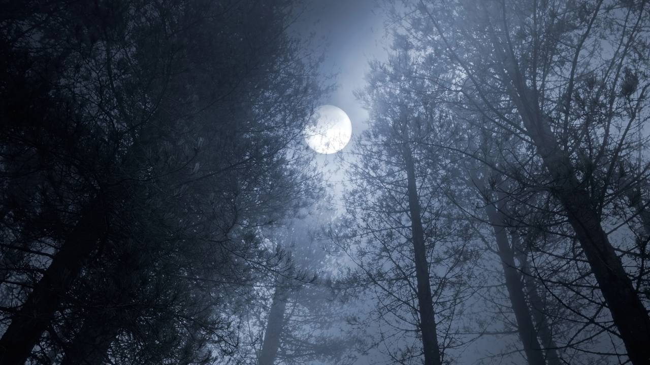 A lua cheia sempre mexe com as energias ao nosso redor, mas desta vez, ela traz um impacto mais profundo em quatro signos do zodíaco