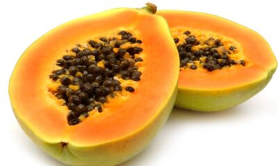 Cultivar mamão papaia em casa é uma tarefa gratificante, acessível até para quem não tem tanta experiência