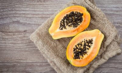 Aprenda o que o mamoeiro precisa para dar bons frutos em pouco tempo