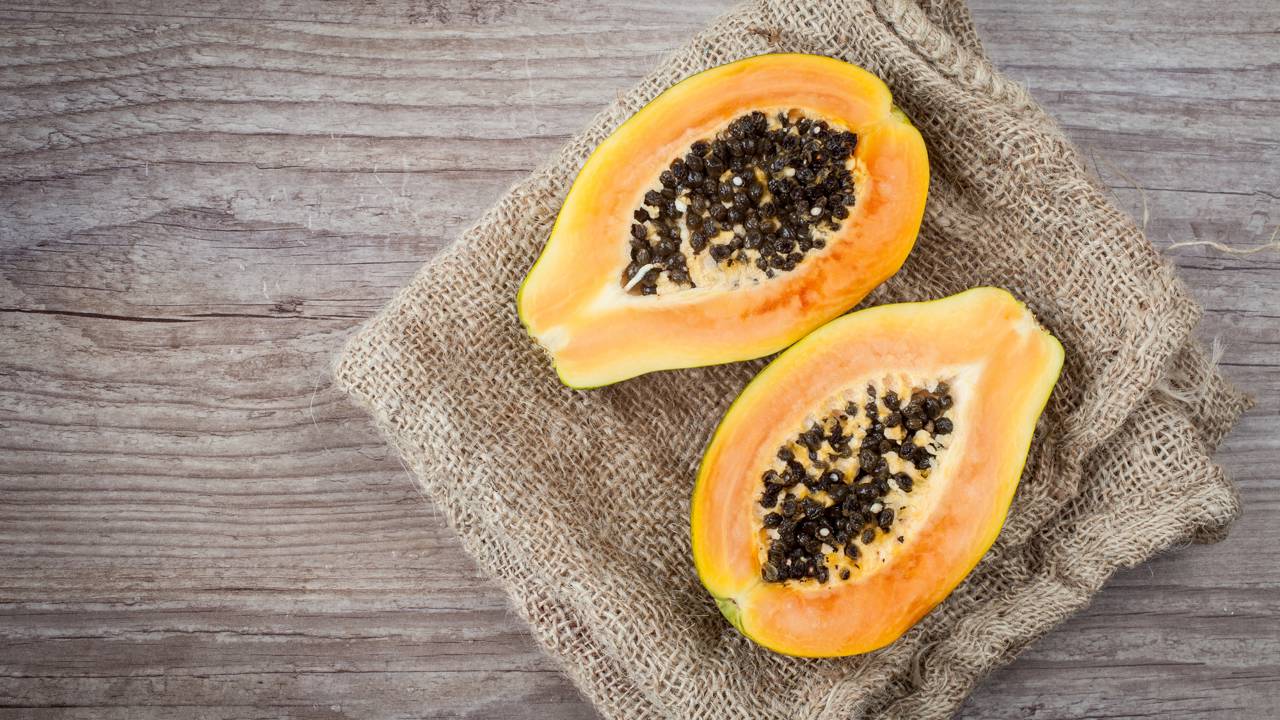 Aprenda o que o mamoeiro precisa para dar bons frutos em pouco tempo