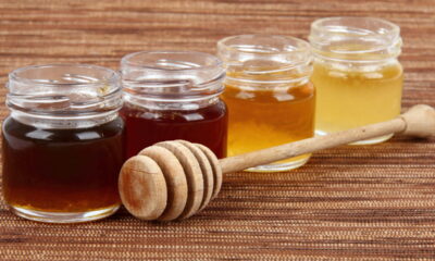 A surpreendente diferença entre mel claro e mel escuro