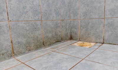 Esse método caseiro elimina o mofo do banheiro facilmente