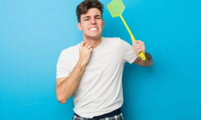 As cascas de frutas cítricas oferecem uma alternativa natural, eficaz e sustentável para espantar mosquitos em ambientes internos e externos