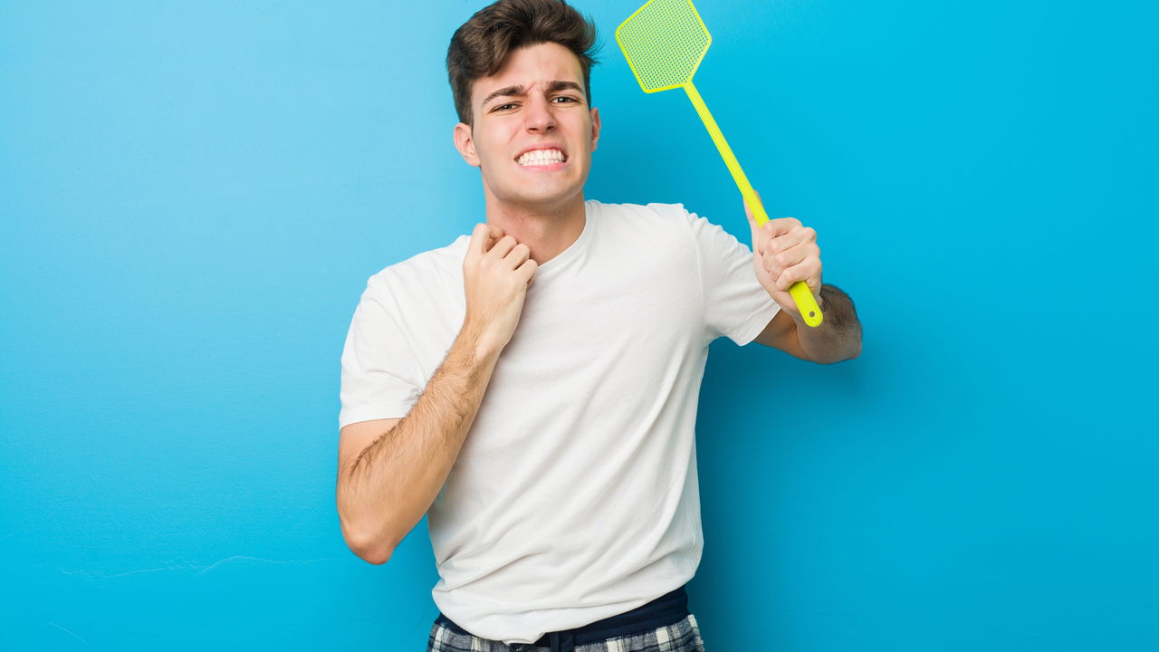 As cascas de frutas cítricas oferecem uma alternativa natural, eficaz e sustentável para espantar mosquitos em ambientes internos e externos