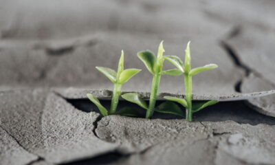 O mês de outubro chega com a energia de renovação para alguns signos do zodíaco