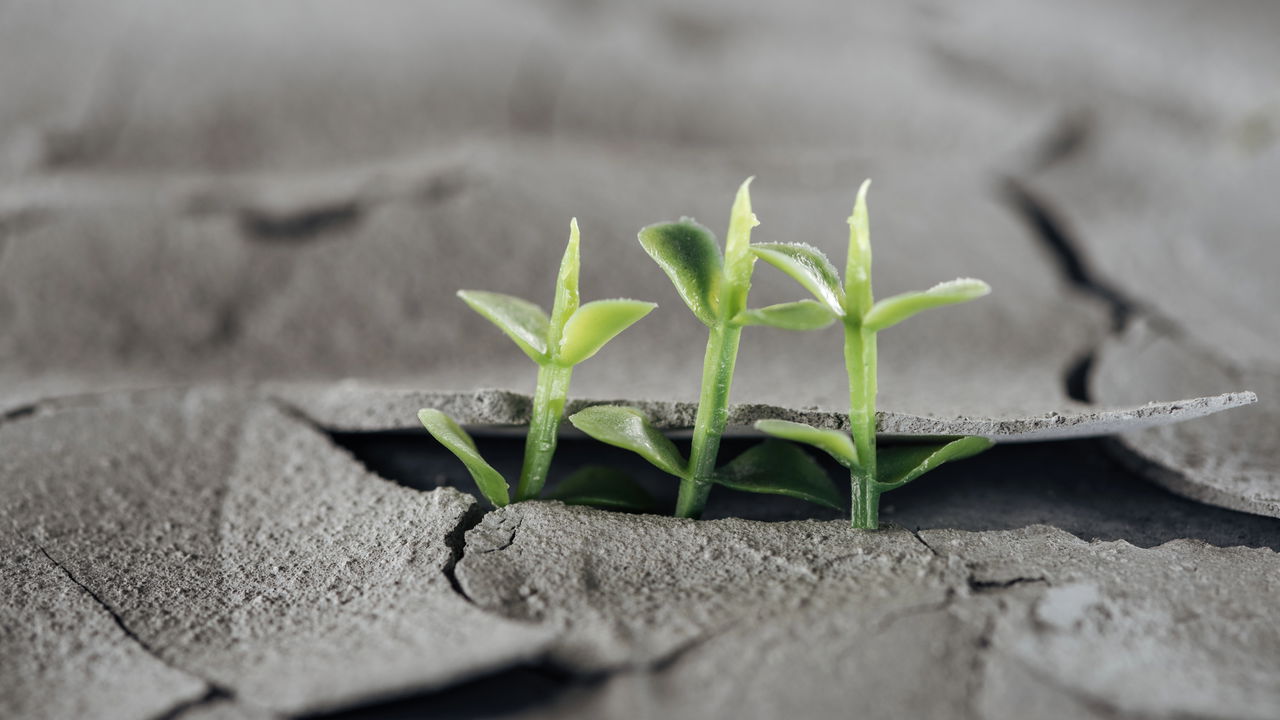 O mês de outubro chega com a energia de renovação para alguns signos do zodíaco