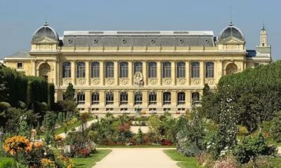 Mulher é presa por roubar ouro avaliado em US$ 1,7 milhão de museu em Paris