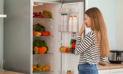 Você sabia que a hortelã fresca na geladeira pode melhorar o ambiente da sua cozinha? Muito além de seu uso culinário, a hortelã atua diretamente na atmosfera