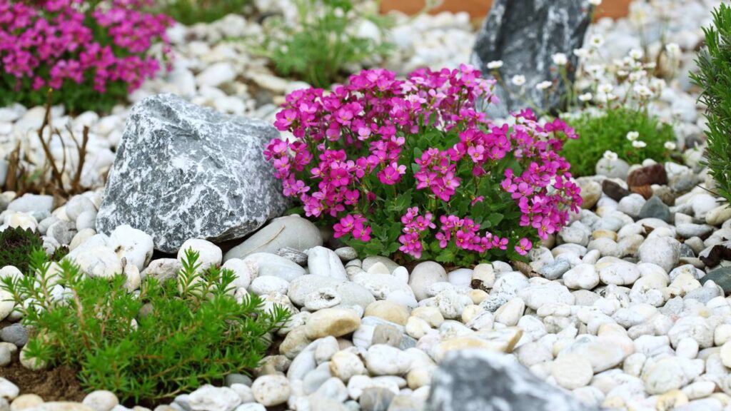 Ter pedras brancas no jardim é uma escolha bonita e agradável