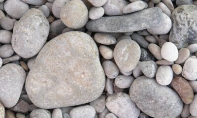 Ter pedras brancas no jardim é uma escolha bonita e agradável