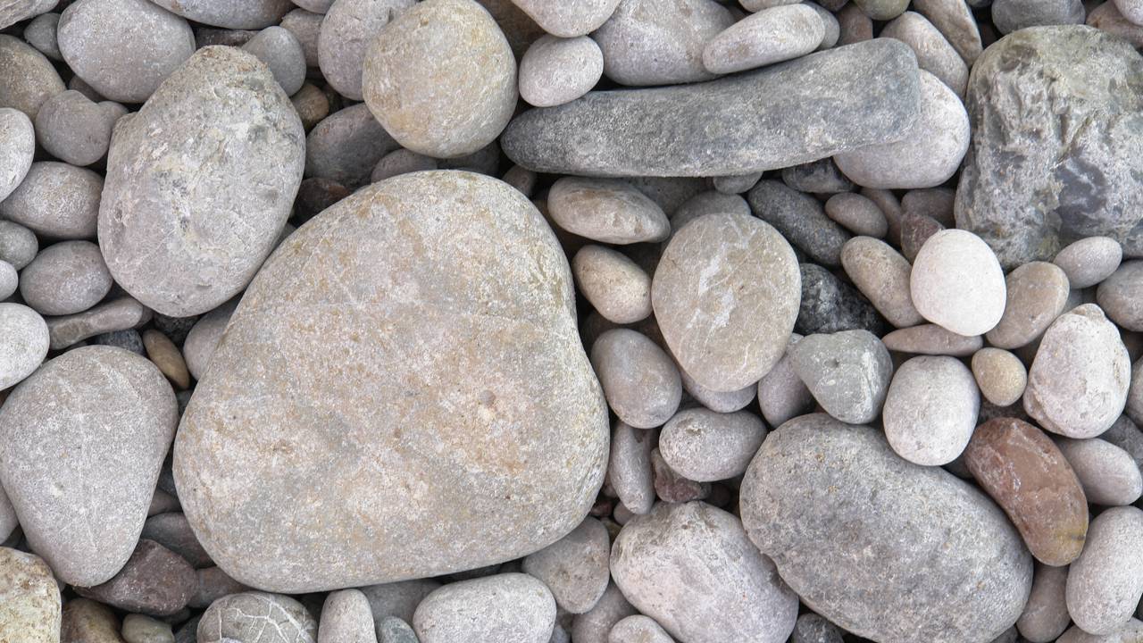 Ter pedras brancas no jardim é uma escolha bonita e agradável