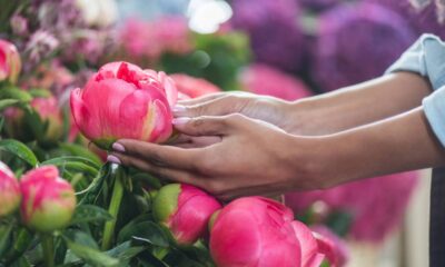 3 flores que ajudam a deixar o ambiente mais romântico