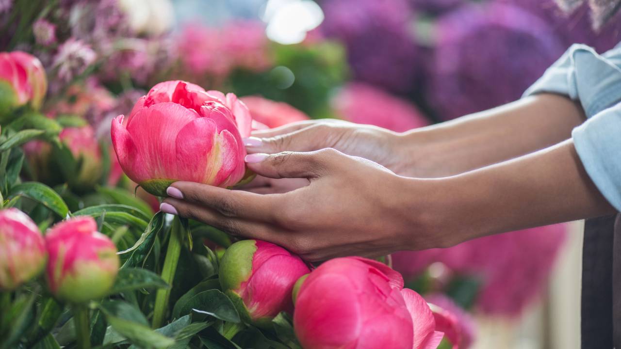 3 flores que ajudam a deixar o ambiente mais romântico