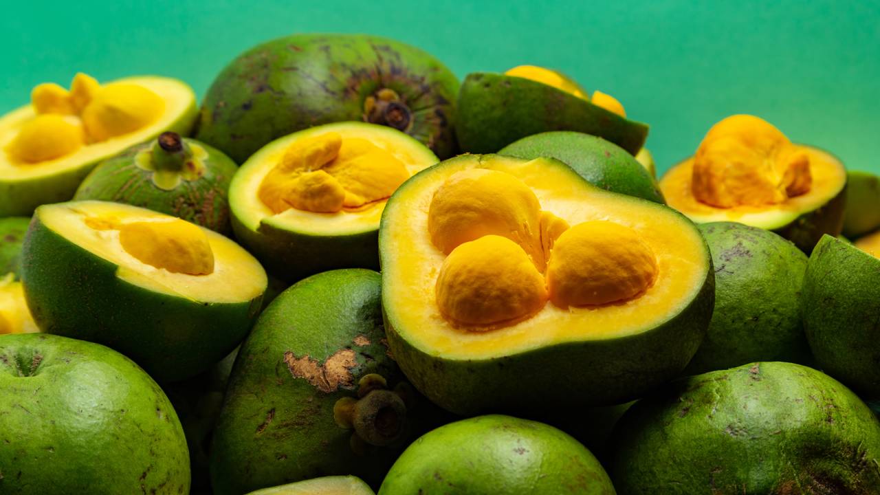 Produtor brasileiro colhe o maior pequi do Brasil com 2.4kg e conquista recorde nacional