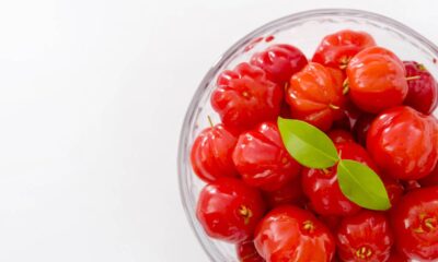 Pitanga em vaso com frutos o ano inteiro? É possível com esses cuidados