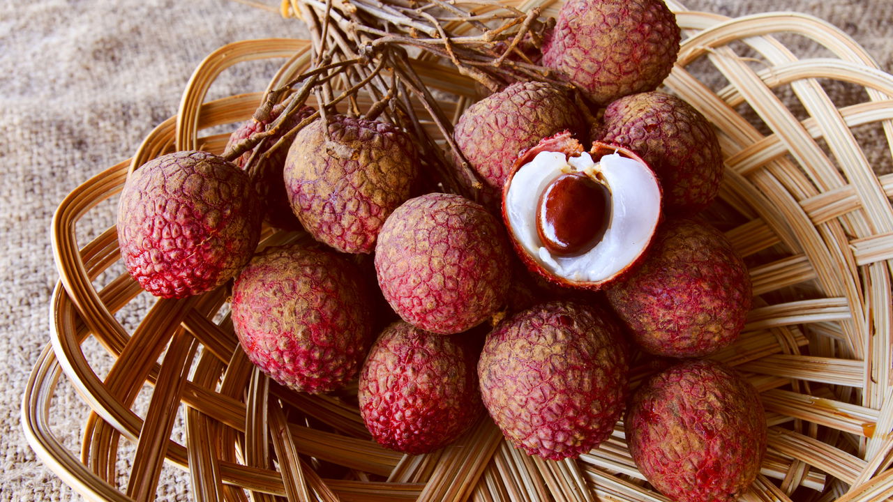 Cultivar lichia em casa pode ser uma experiência gratificante e acessível, mesmo para quem possui pouco espaço. Esta fruta exótica de polpa doce e sutil traz beleza e sabor ao ambiente, além de incentivar práticas sustentáveis no dia a dia