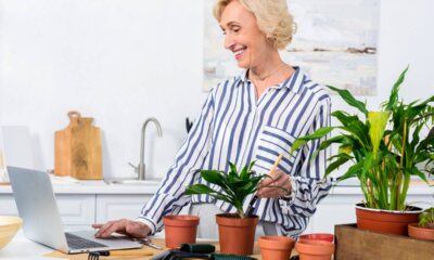 Essa planta deixa o ar mais leve e ajuda a acalmar a mente de forma natural