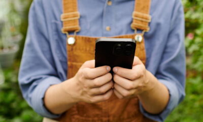 Plantar árvores frutíferas é uma maneira excelente de transformar seu jardim em um espaço mais produtivo e cheio de sabores