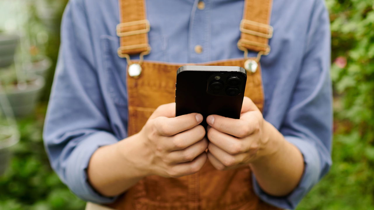 Plantar árvores frutíferas é uma maneira excelente de transformar seu jardim em um espaço mais produtivo e cheio de sabores