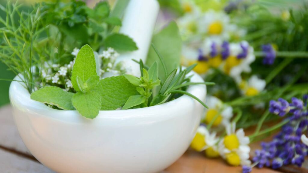 Essas plantas medicinais aliviam cólicas mais rápido que muitos remédios
