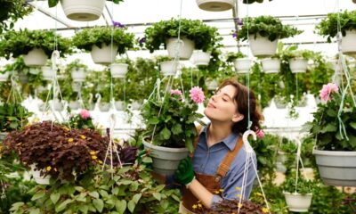 As plantas desempenham um papel crucial em nossas vidas, oferecendo desde uma estética excepcional até benefícios funcionais como a purificação do ar
