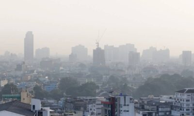 5 formas de se proteger da poluição todos os dias