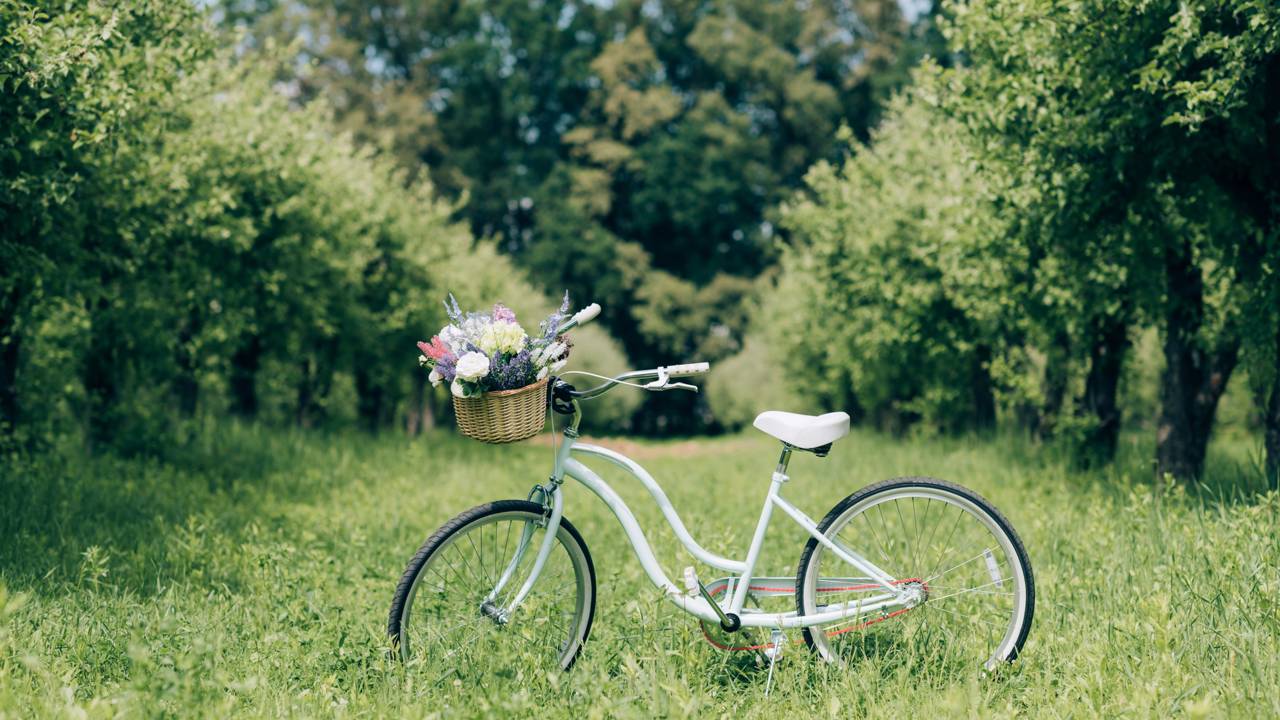 Essa fruta em formato de estrela pode enfeitar o pomar da sua casa
