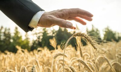 No universo das crenças esotéricas e horóscopo, as cores exercem influência decisiva no equilíbrio das energias pessoais e do ambiente, sendo capazes tanto de harmonizar quanto de bloquear o fluxo de prosperidade em nossas vidas, conforme diferentes tradições como o Feng Shui e a astrologia.