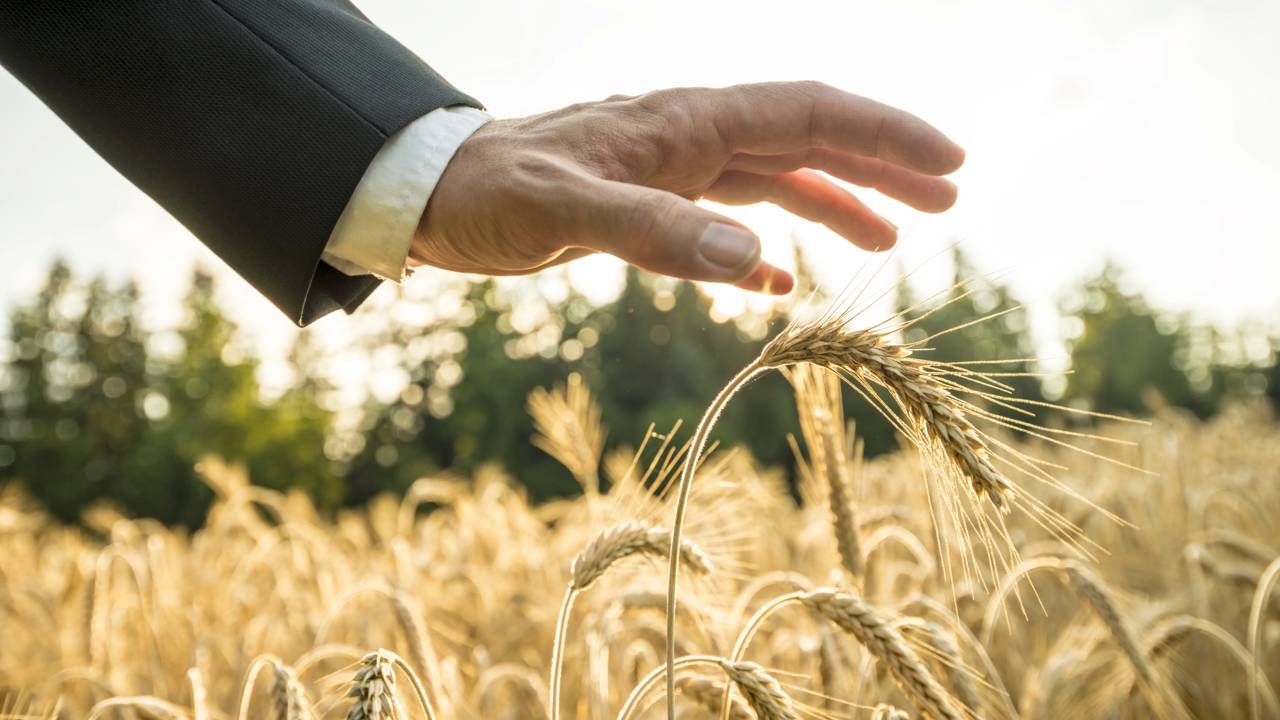 No universo das crenças esotéricas e horóscopo, as cores exercem influência decisiva no equilíbrio das energias pessoais e do ambiente, sendo capazes tanto de harmonizar quanto de bloquear o fluxo de prosperidade em nossas vidas, conforme diferentes tradições como o Feng Shui e a astrologia.