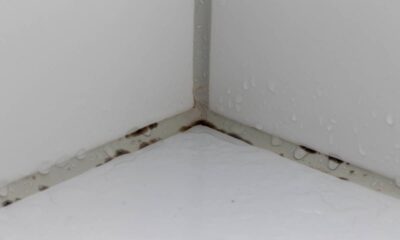 O escurecimento rápido do rejunte no banheiro pode indicar problemas como excesso de umidade, ventilação inadequada ou uso de produtos de limpeza incorretos, comprometendo tanto a higiene quanto a durabilidade do ambiente.