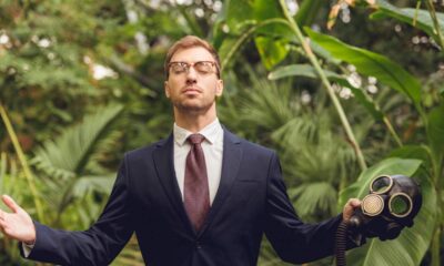 Uma planta comum que esconde o poder de deixar o ar leve e a casa perfumada