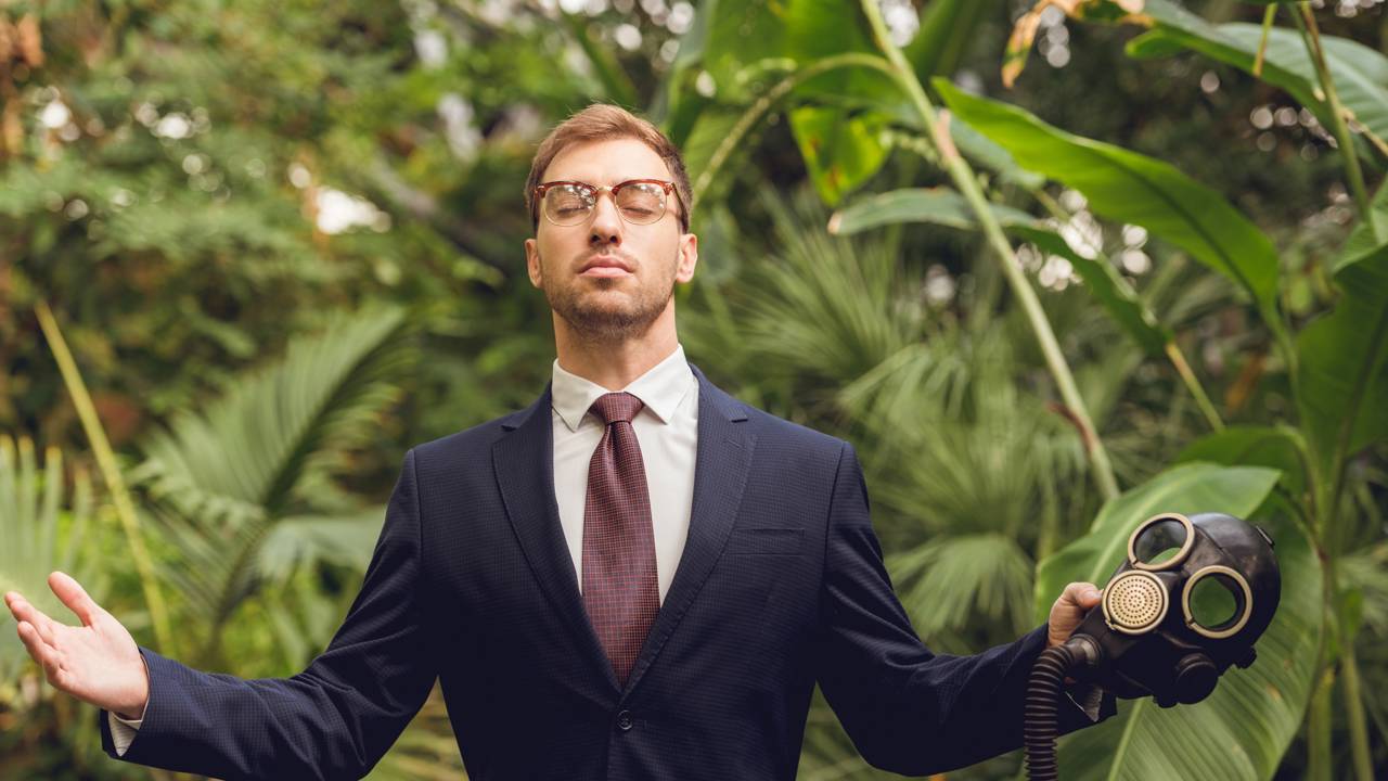 Uma planta comum que esconde o poder de deixar o ar leve e a casa perfumada