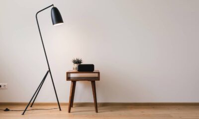 As melhores plantas para decorar a sala de estar