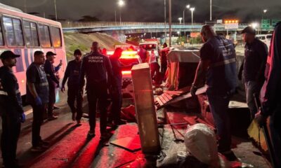 SEOP remove construções irregulares na Avenida Brasil, em Ramos