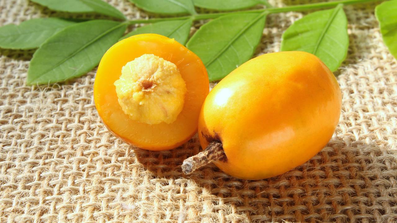 O adubo certo para seriguela que garante colheitas fartas e frutas bem docinhas