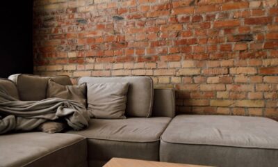 O jeito certo de limpar o sofá para evitar mofo, manchas e mau cheiro.