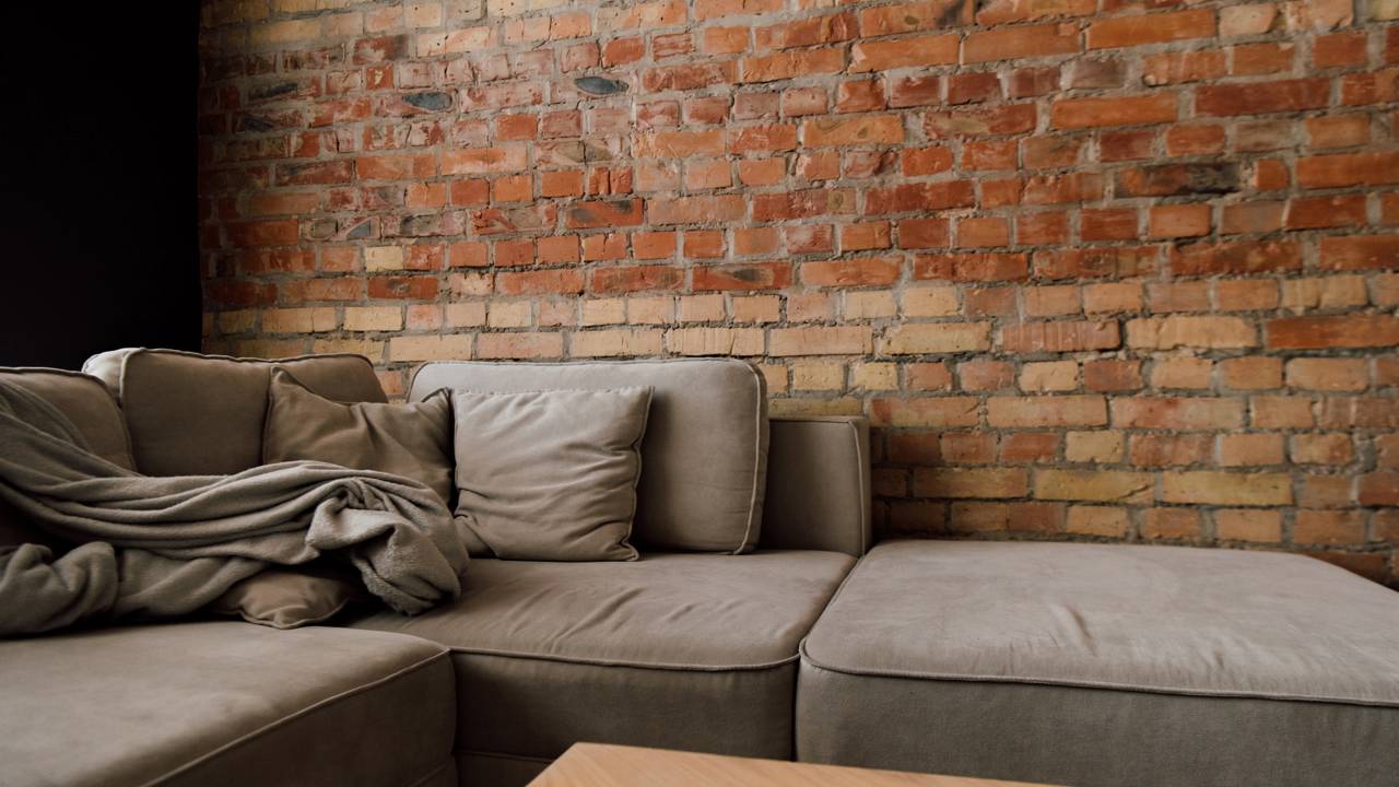 O jeito certo de limpar o sofá para evitar mofo, manchas e mau cheiro.