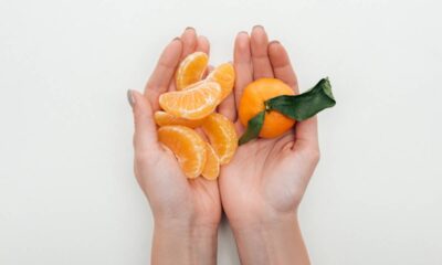 O cultivo de tangerina em espaços reduzidos é possível e pode ser bastante produtivo quando se aplicam técnicas adequadas; dessa forma, até mesmo quem possui apenas varandas ou pequenos quintais pode desfrutar do sabor desses frutos frescos e da beleza das plantas, que se adaptam bem a diferentes ambientes.