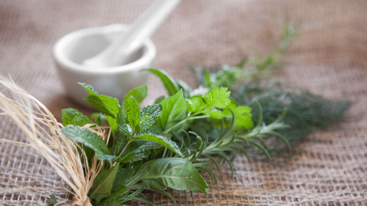 Plantar temperos em outubro é uma excelente maneira de garantir uma colheita rica, cheia de aroma e sabor ainda antes do final do ano