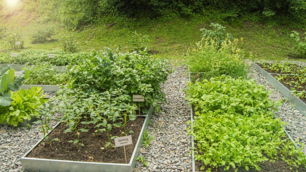 No mundo da culinária, utilizar temperos frescos pode transformar um prato simples em uma experiência gastronômica requintada e saudável, tornando-se uma excelente escolha tanto para iniciantes quanto para cozinheiros experientes que buscam praticidade e sabor intenso no dia a dia.